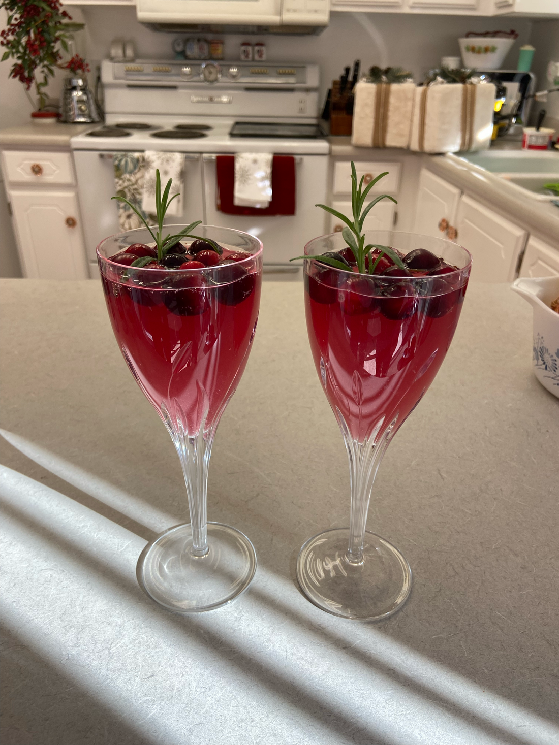 Cranberry Lime Spritzer